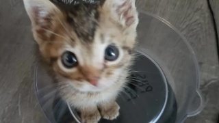 “英亚官网首页”“我先喜欢你,不过分吧?”(图3) 英亚官网首页