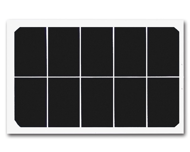 ‘英亚官网首页’全国松材线虫病疫木检疫执法专项行动启动(图3) 英亚官网首页