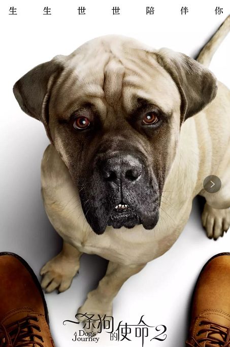 “英亚官方网站”2017年佛山“壮士断腕”加强问责整治环境污染_政策法规_新闻_矿道网(图2) 英亚官网