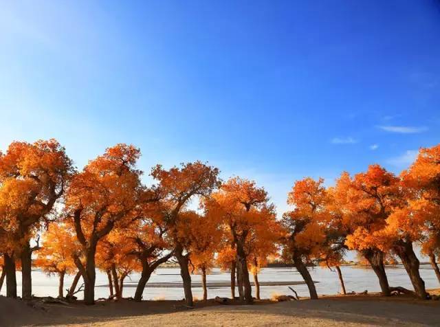 英亚官方网站:辛芷蕾《紧急救援》饰演机长 大年初一上映引期待(图2) 英亚官网