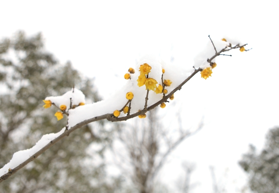 爱没爱对人,吵一架就知道了‘英亚官网首页’(图4) 英亚官网