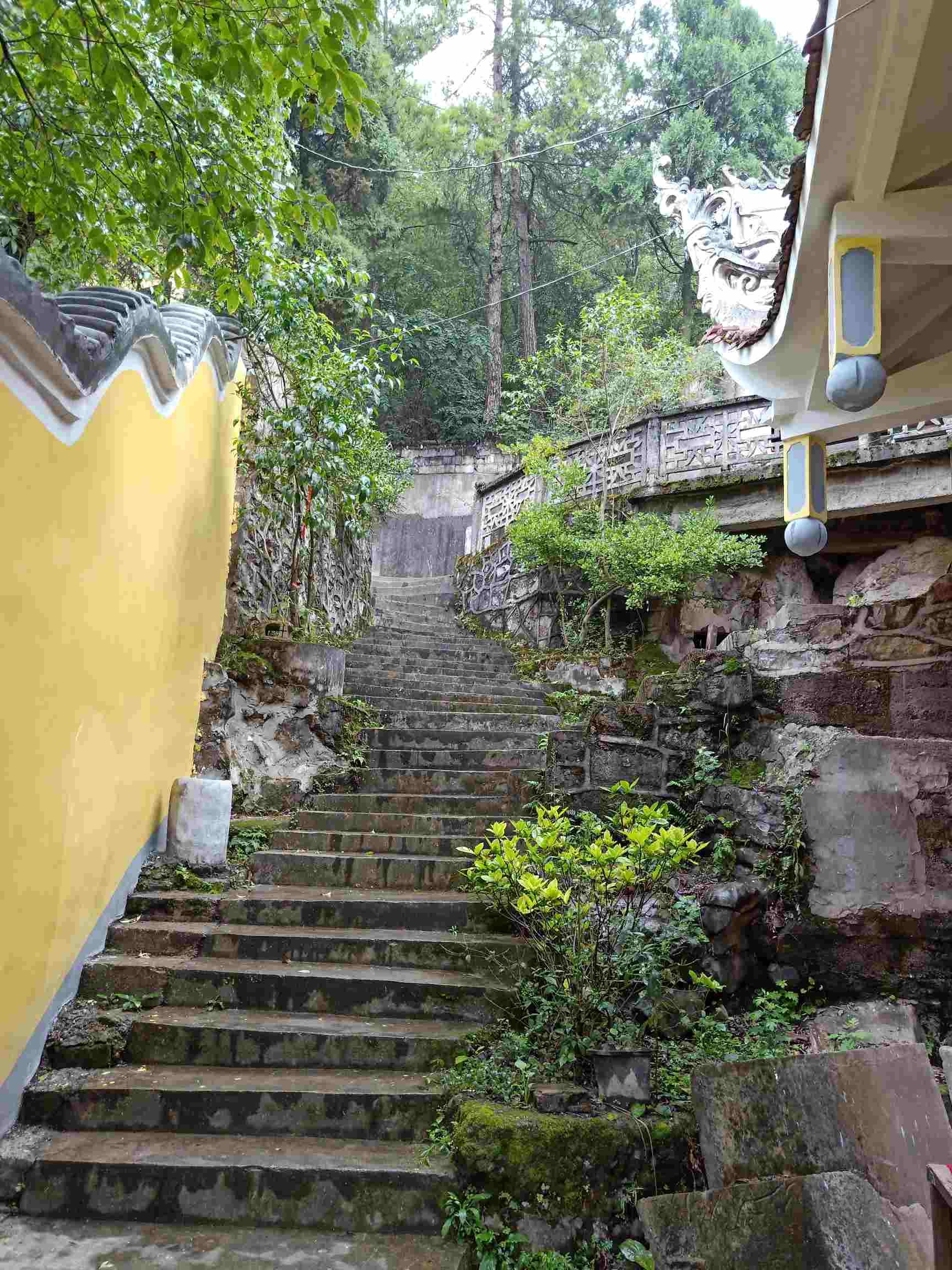 你给我的爱，不必复杂_英亚官网首页