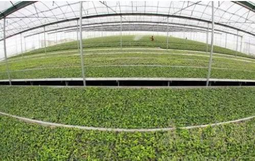 英亚官网首页-淡水河谷因溃坝连续两季度亏损 复产后盈利料将恢复(图4) 英亚官网