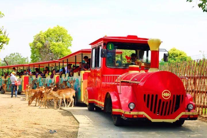 英亚官网首页:《宠爱》票房顺利破5亿 巨石强森新片《为家而战》排映占比夺冠(图1) 英亚官方网站