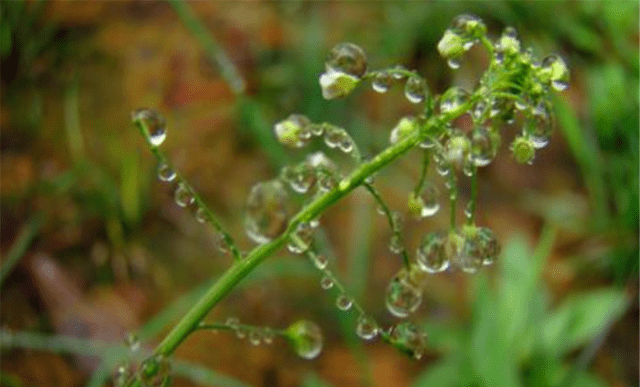 
俗语：“最怕端午节水、不怕七月半鬼”啥意思？端午将至不妨一看“英亚官网首页”(图6)